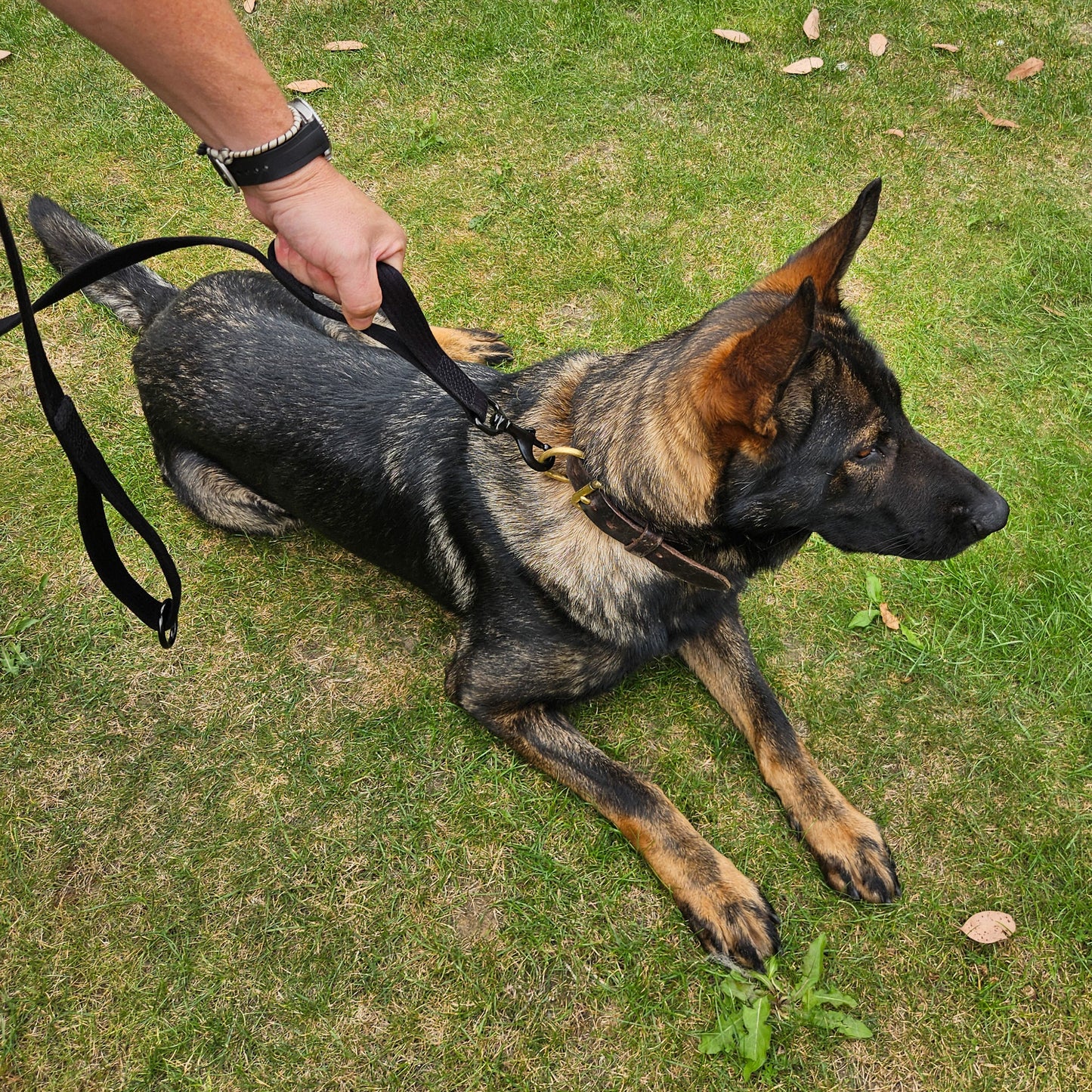 General Purpose (GP) Lead with 'Control Handle'