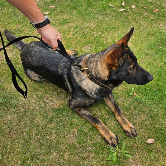 General Purpose (GP) Lead with 'Control Handle'
