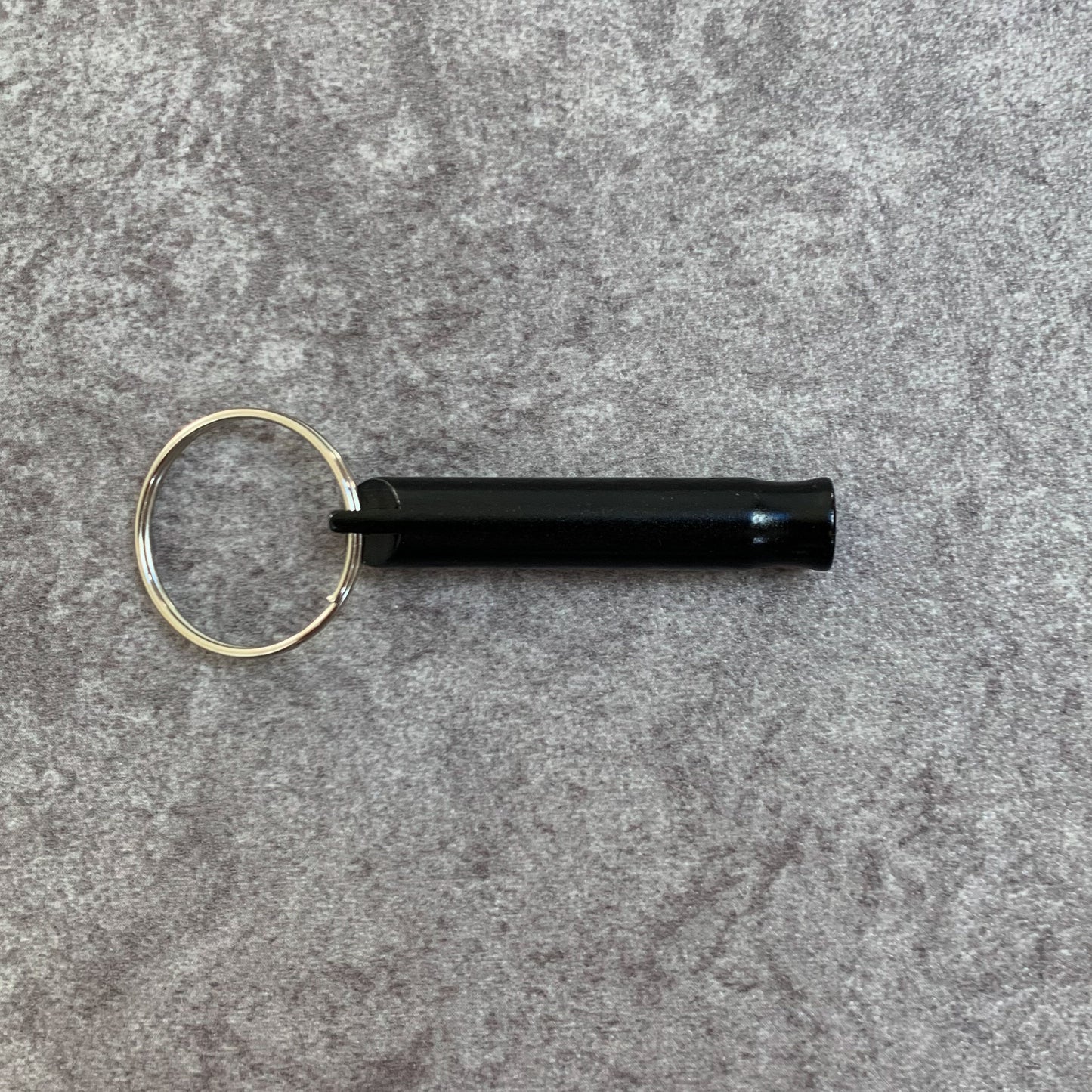 Training Recall Whistle